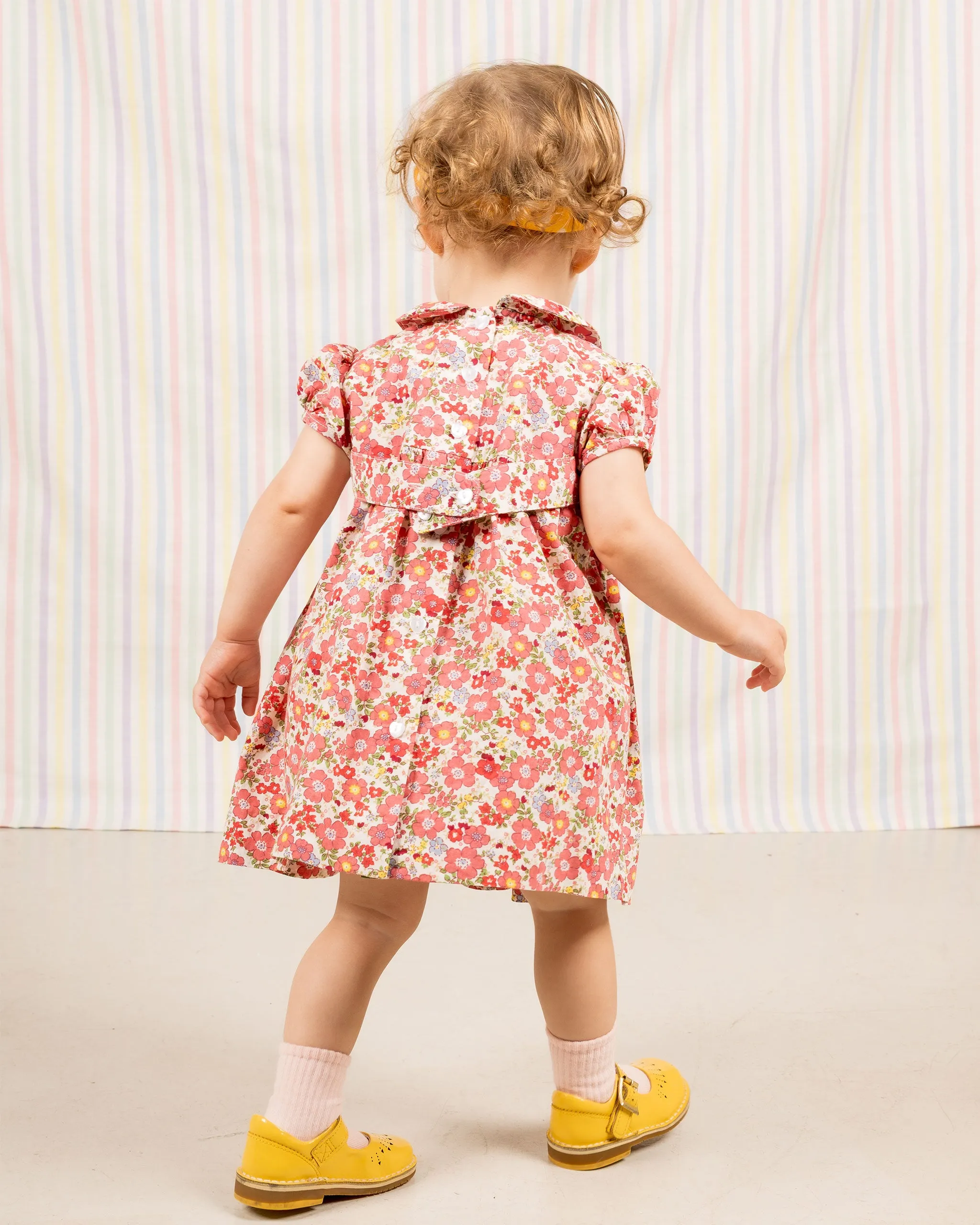 Smocked Baby Dress - Chloe